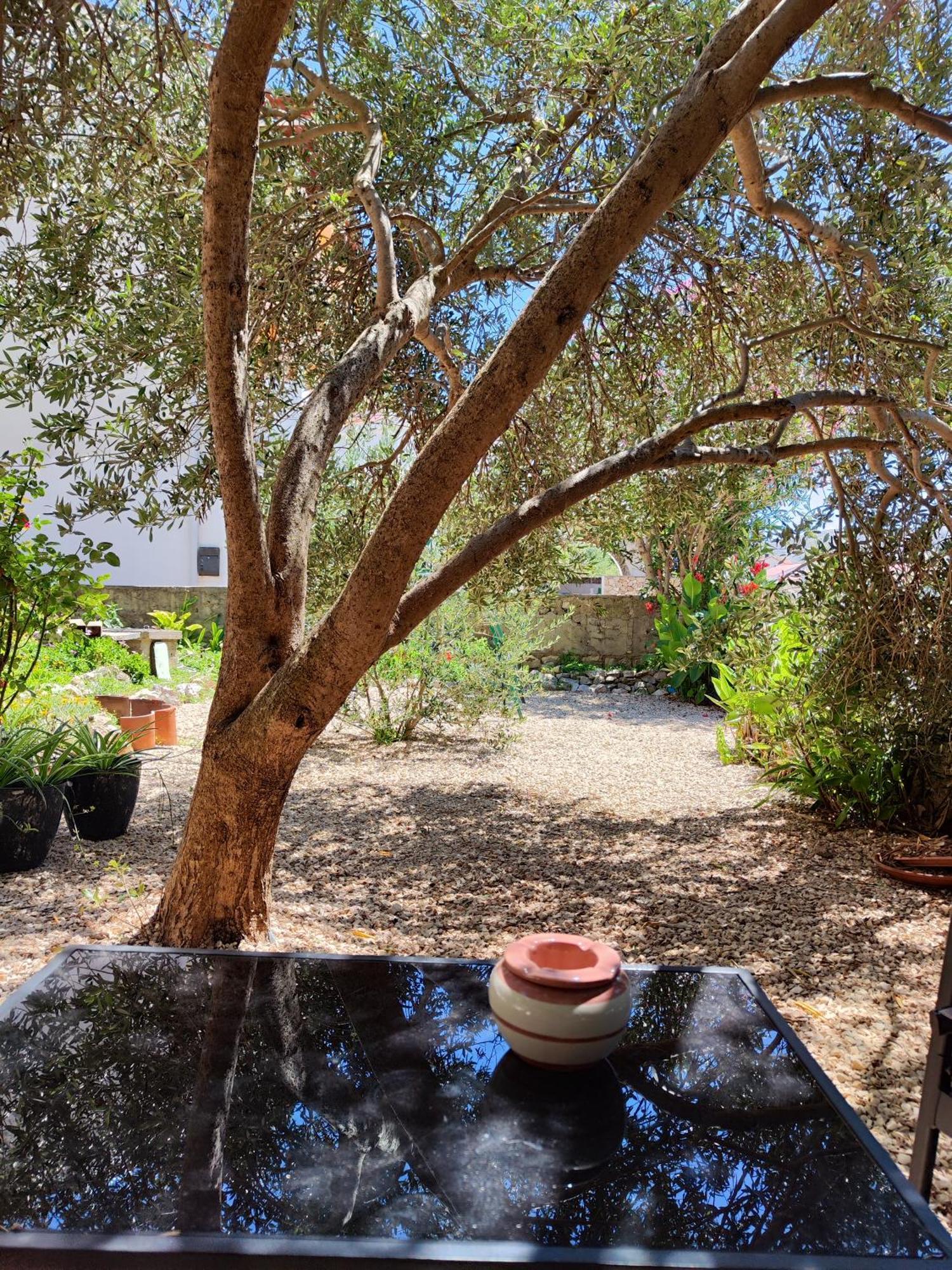 Apartman Vesna Pag Daire Pag Town Dış mekan fotoğraf